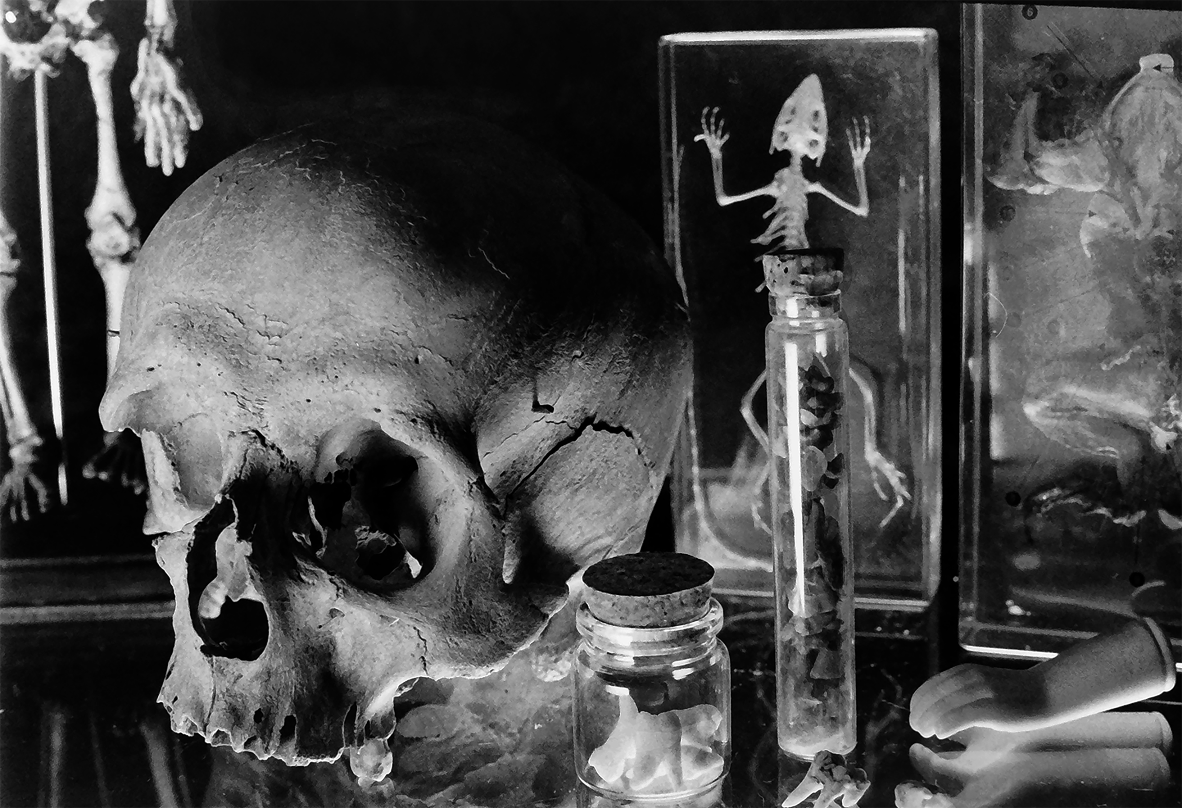 Vanitas 01 - Still Life 35mm